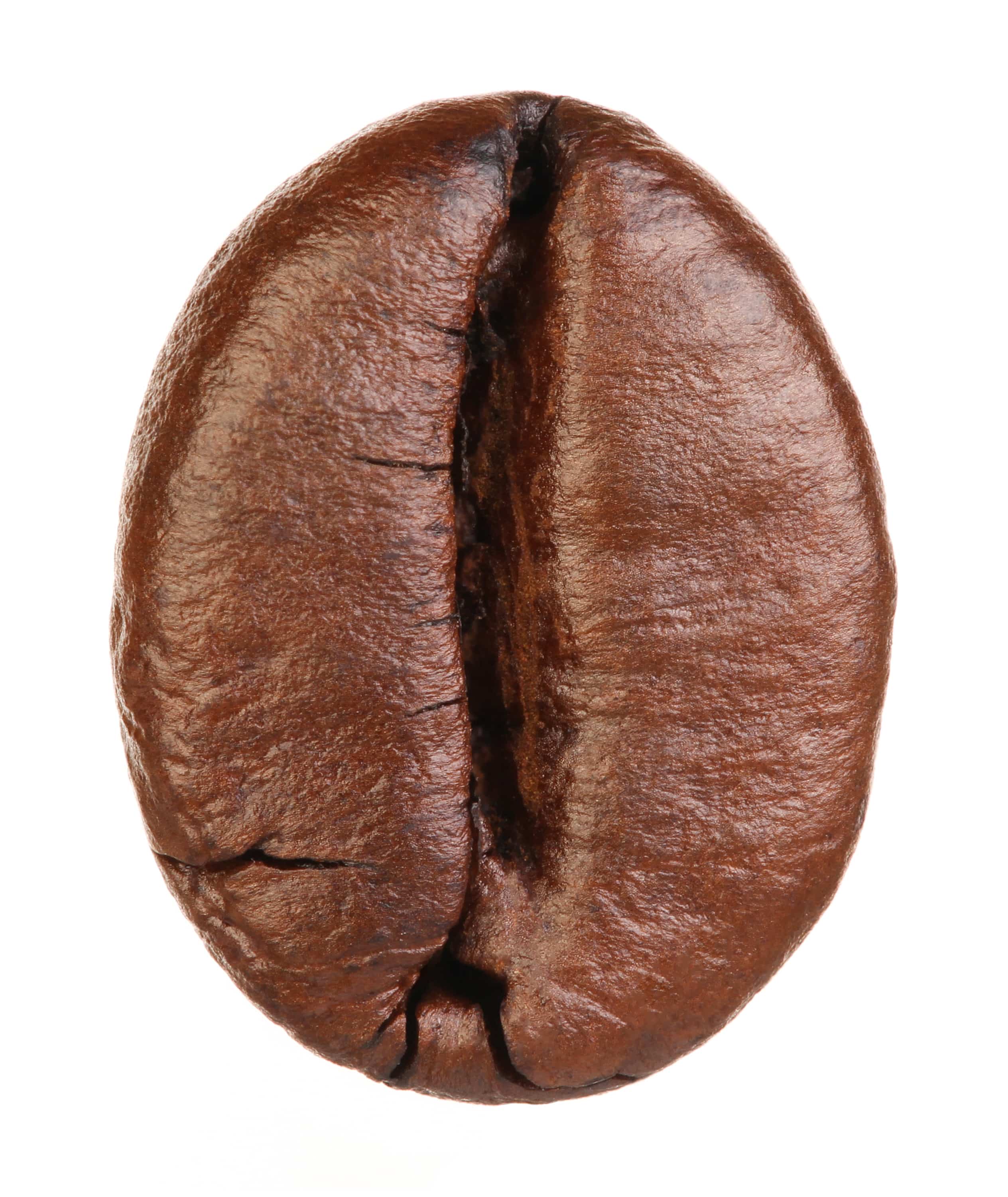 Kaffeebohne